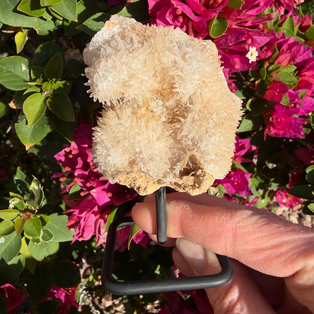 Gorgeous Calcite on Stand